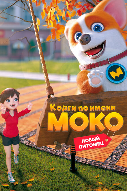 Корги по имени Моко. Новый питомец