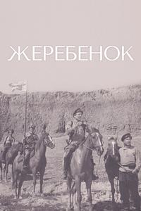 Жеребенок Жеребенок