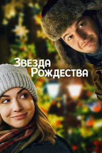 Звезда Рождества Звезда Рождества