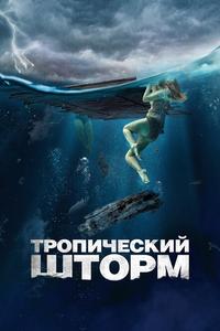 Тропический шторм Тропический шторм