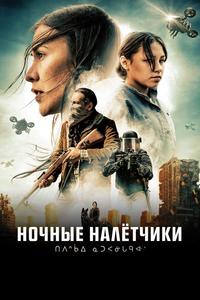 Ночные налётчики Ночные налётчики