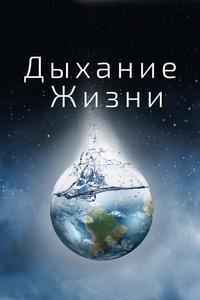 Дыхание жизни Дыхание жизни