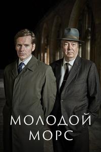 Молодой Морс Молодой Морс