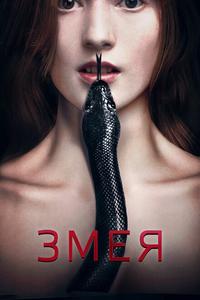 Змея Змея