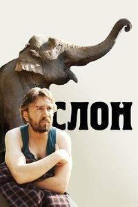 Слон Слон