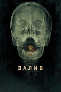 Залив Залив