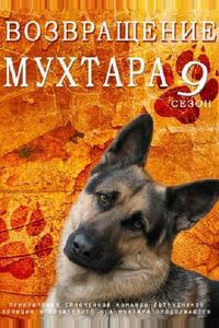 Возвращение Мухтара 9 Возвращение Мухтара 9