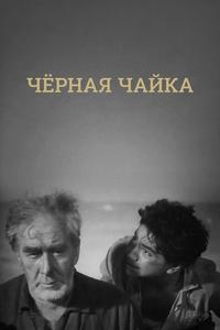 Черная чайка Черная чайка
