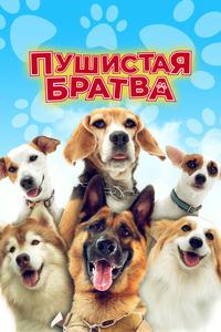 Пушистая братва Пушистая братва