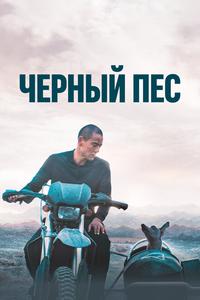Чёрный пёс Чёрный пёс