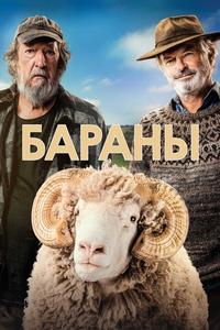 Бараны Бараны