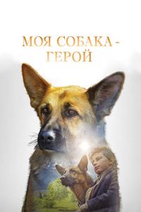 Моя собака — герой Моя собака — герой