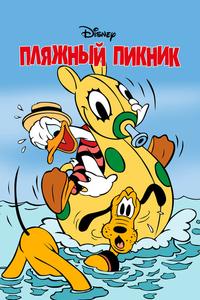 Пляжный пикник Пляжный пикник