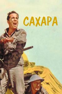 Сахара Сахара