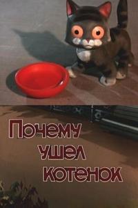Почему ушел котенок Почему ушел котенок