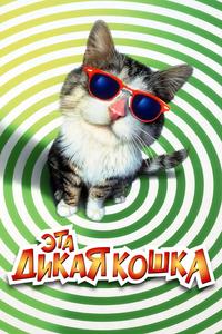Эта дикая кошка Эта дикая кошка