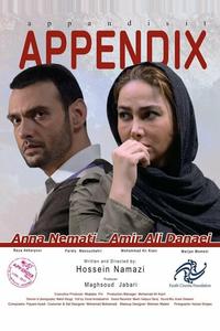 Аппендикс Аппендикс