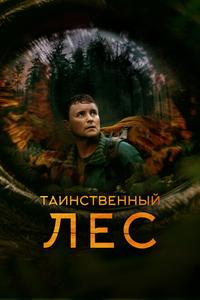 Таинственный лес Таинственный лес