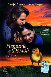 Летите домой