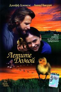 Летите домой Летите домой
