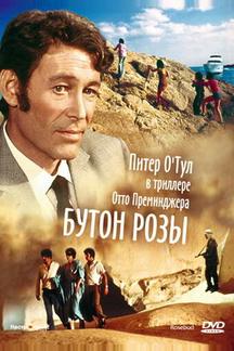 Бутон розы