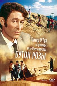 Бутон розы Бутон розы