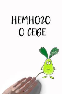 Немного о себе Немного о себе
