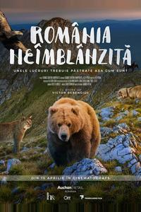 Дикая Румыния Дикая Румыния