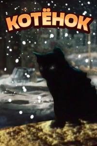 Котёнок Котёнок