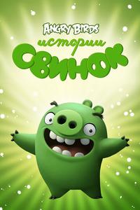 Истории свинок Истории свинок