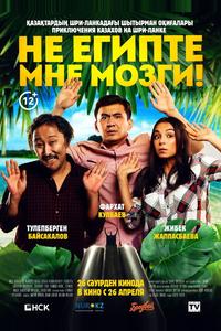 Не египте мне мозги! Не египте мне мозги!
