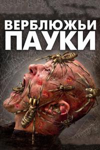 Верблюжьи пауки Верблюжьи пауки