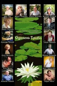 Одолень-трава Одолень-трава