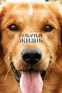Собачья жизнь Собачья жизнь