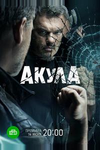 Акула Акула