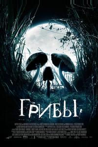 Грибы Грибы