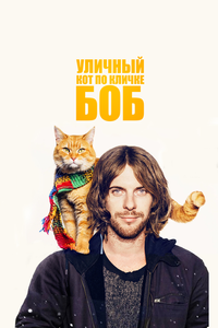 Уличный кот по кличке Боб Уличный кот по кличке Боб