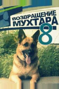 Возвращение Мухтара 8 Возвращение Мухтара 8