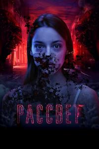Рассвет Рассвет