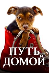 Путь домой Путь домой