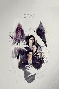 Стая Стая