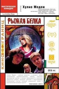 Рыжая белка Рыжая белка