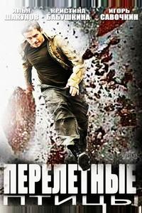 Перелётные птицы Перелётные птицы