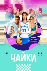 Чайки Чайки