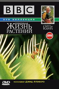 BBC: Невидимая жизнь растений BBC: Невидимая жизнь растений