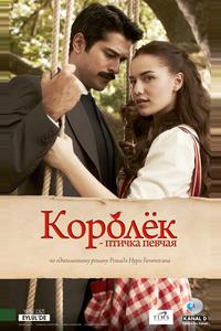Королёк — птичка певчая Королёк — птичка певчая