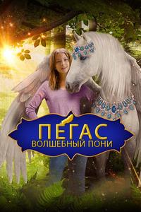 Пегас: Волшебный пони Пегас: Волшебный пони