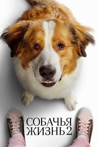 Собачья жизнь 2 Собачья жизнь 2