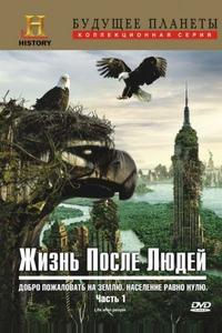 Жизнь после людей Жизнь после людей