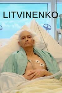 Литвиненко Литвиненко